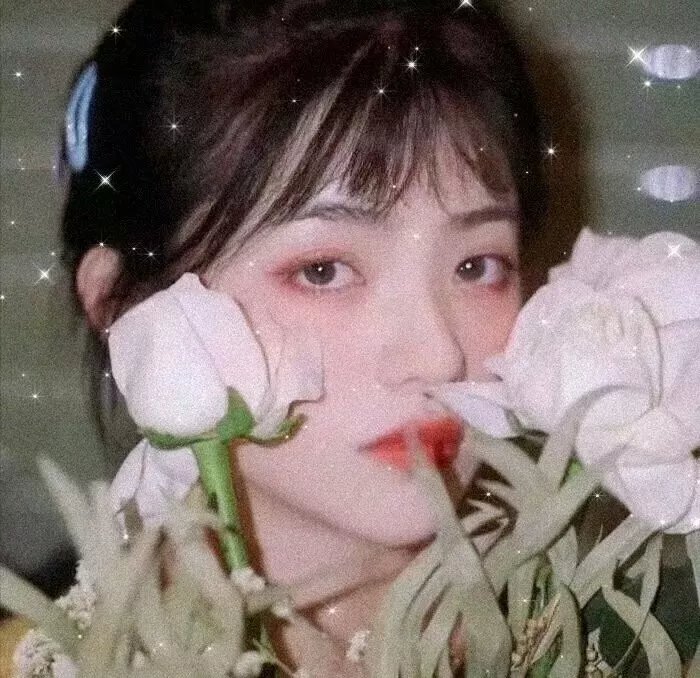 圣物秘闻录