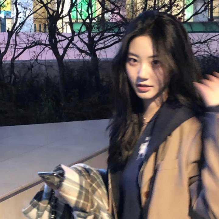 乌鸦小姐与蜥蜴先生